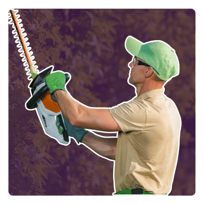 Le Jardin d'Anthony Paysagiste