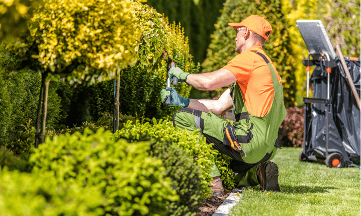 Logiciel de facturation pour paysagiste